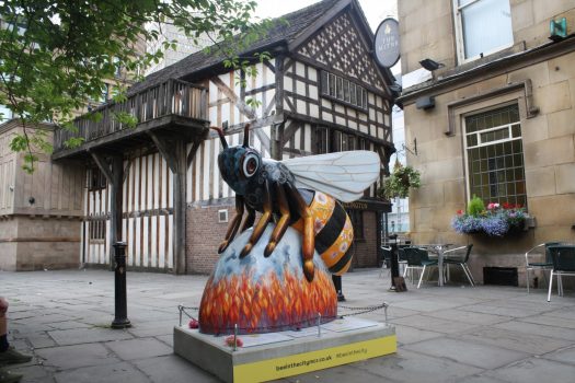 Manchester Sightseeing - Bee in the City